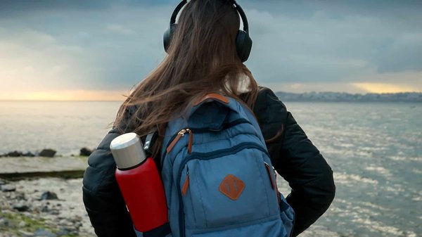 Quelques astuces pour choisir le portail musical idéal ?