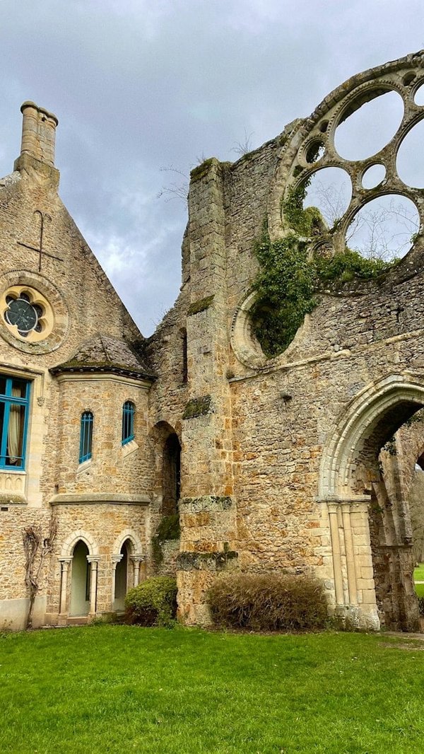 Quels sont les meilleurs matériaux écologiques pour la rénovation des vieux bâtiments ?